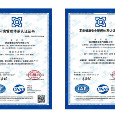 雷諾爾電氣順利通過ISO14001和ISO45001環境、安全管理體系認證